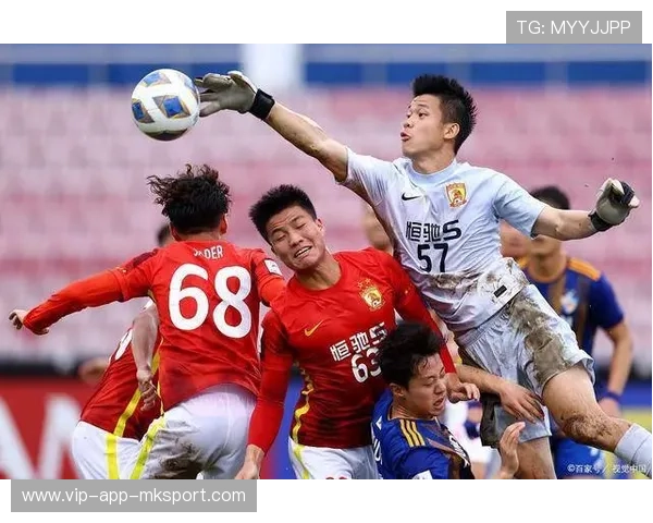 未来之星崭露头角!新鲜血液冲刺巅峰! 未来之星崭露头角!新鲜血液冲刺巅峰!