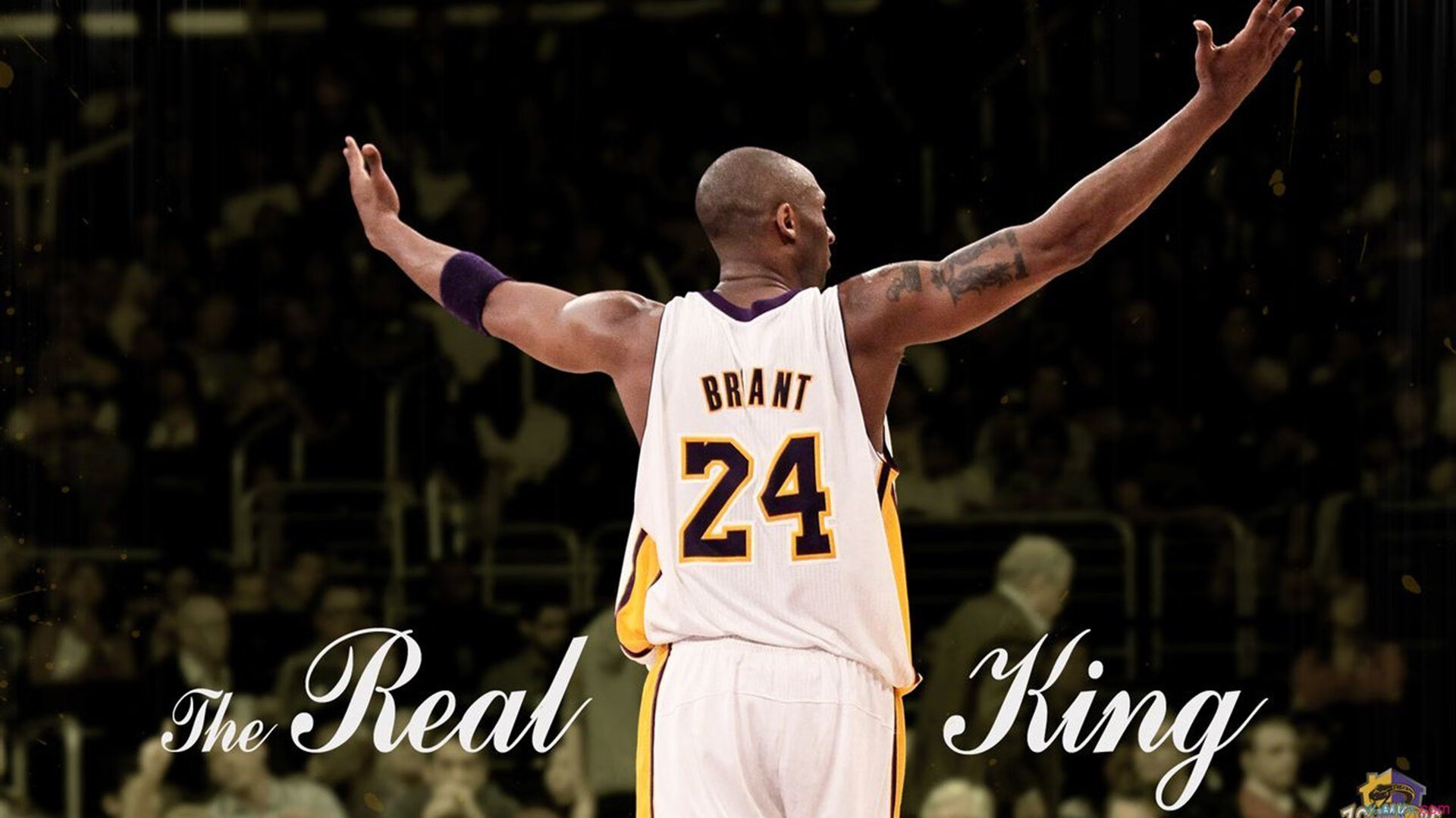 亚历克斯·格林伍德在关键时刻的防守反击为袋鼠队创造反攻机会