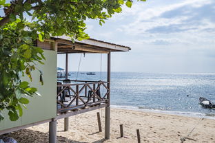 mk体育官网首页-绿色场馆覆盖智能环保系统，推动全球体育绿色低碳行动，绿色场馆建设