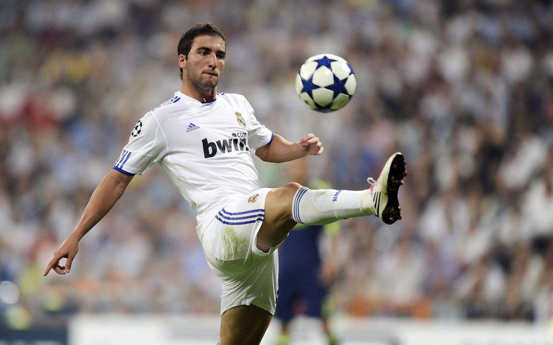 阿根廷男篮冲击奥运会，表现抢眼